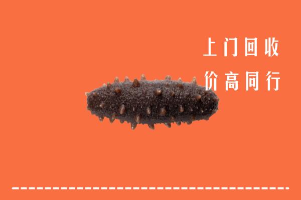 高价求购：芜湖市镜湖回收海参